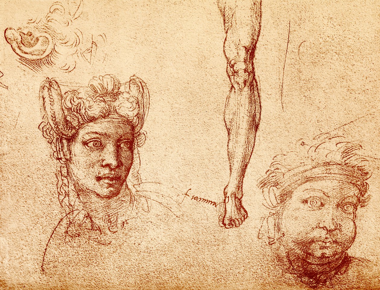 Études de tête et de jambe - Francesco Ubertini Bacchiacca