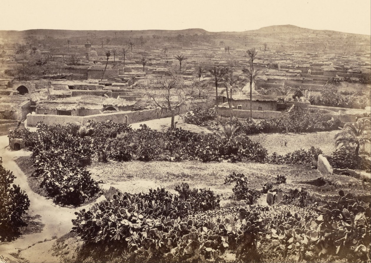 Gaza, la nouvelle ville - Francis Frith