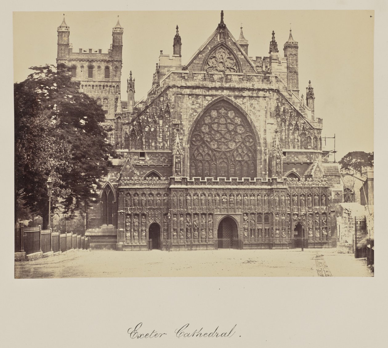 La cathédrale d