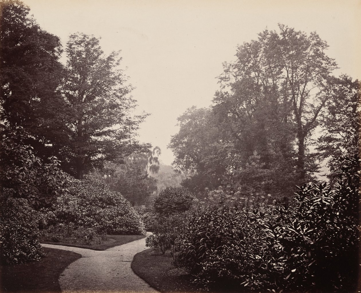 Allée à Alexandra Park - Francis Bedford