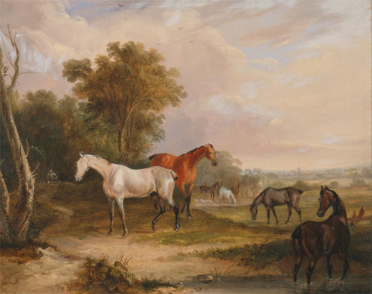 Chevaux au pâturage : un étalon gris au pâturage avec des juments dans un pré - Francis Calcraft Turner