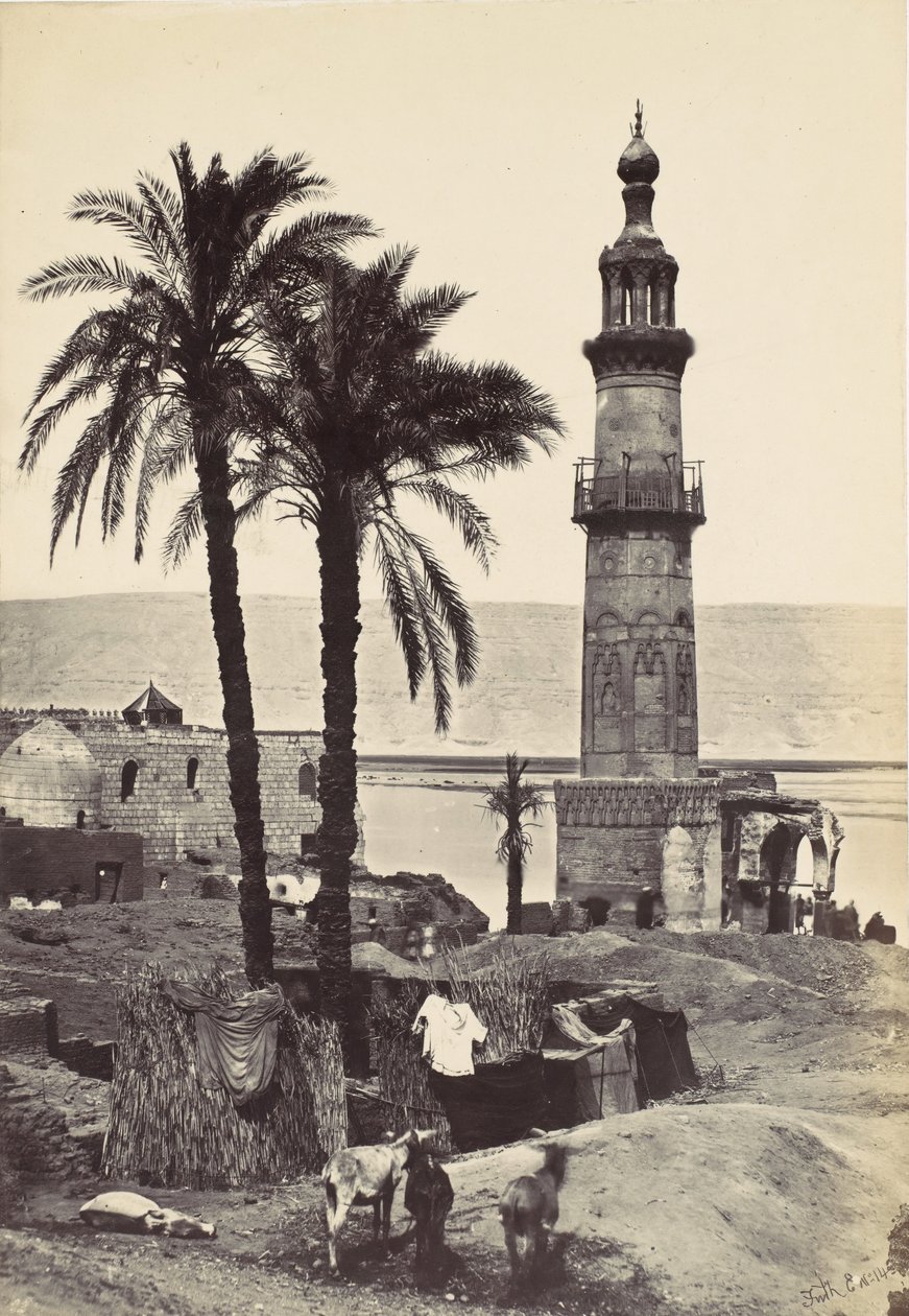 Vue à Girgeh, 1857 - Francis Frith