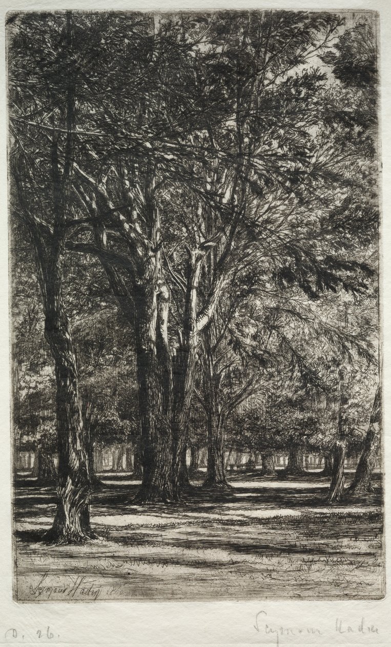 Jardins de Kensington (La Grande Planche) - Francis Seymour Haden