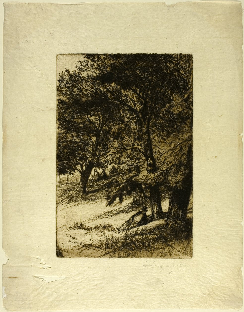 Sous le couvert... - Francis Seymour Haden
