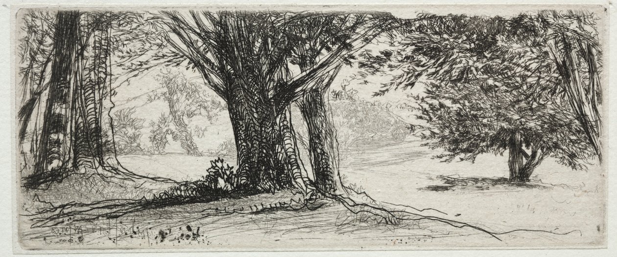 Le champ de houx - Francis Seymour Haden