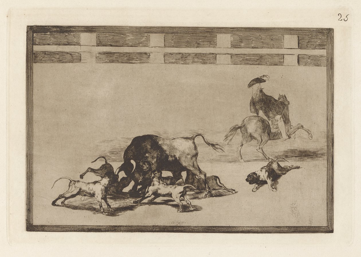 Echan perros al toro, Pl. 25 de La tauromaquia - Francisco de Goya
