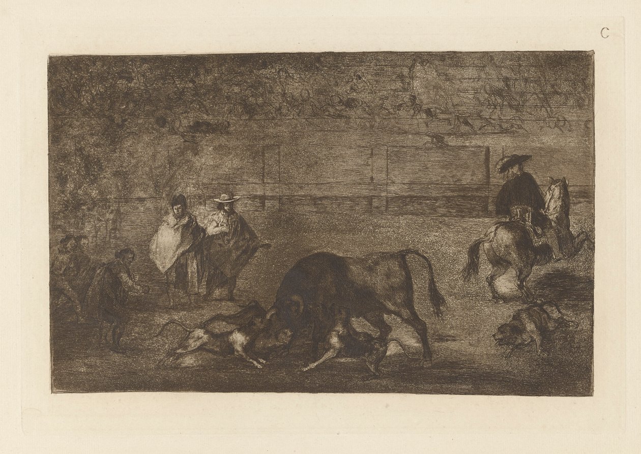 Les chiens lâchés sur le taureau, Planche C de La tauromachie (troisième édition) - Francisco de Goya