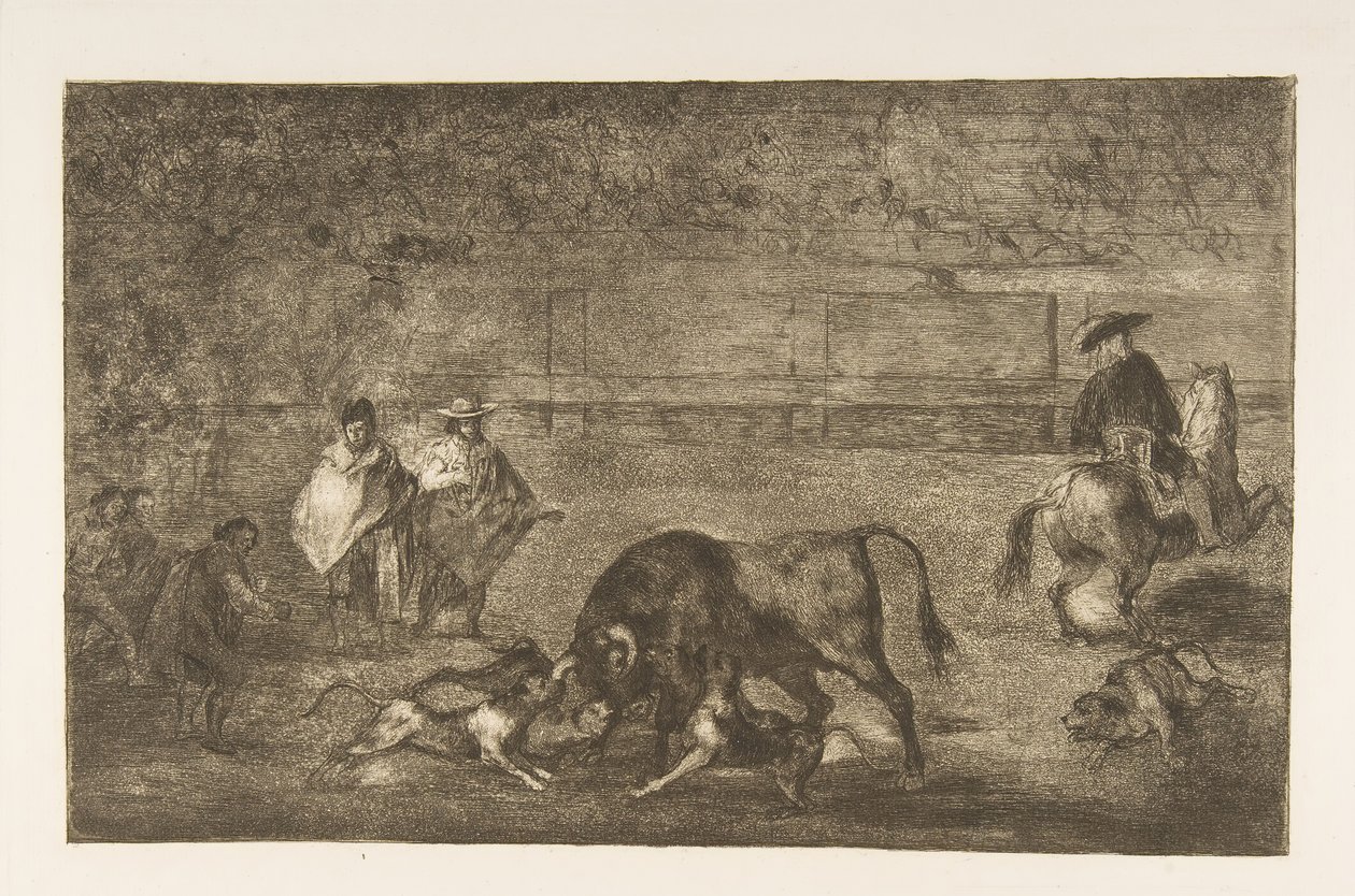 Planche C : Les chiens lâchés sur le taureau, vers 1816 - Francisco de Goya