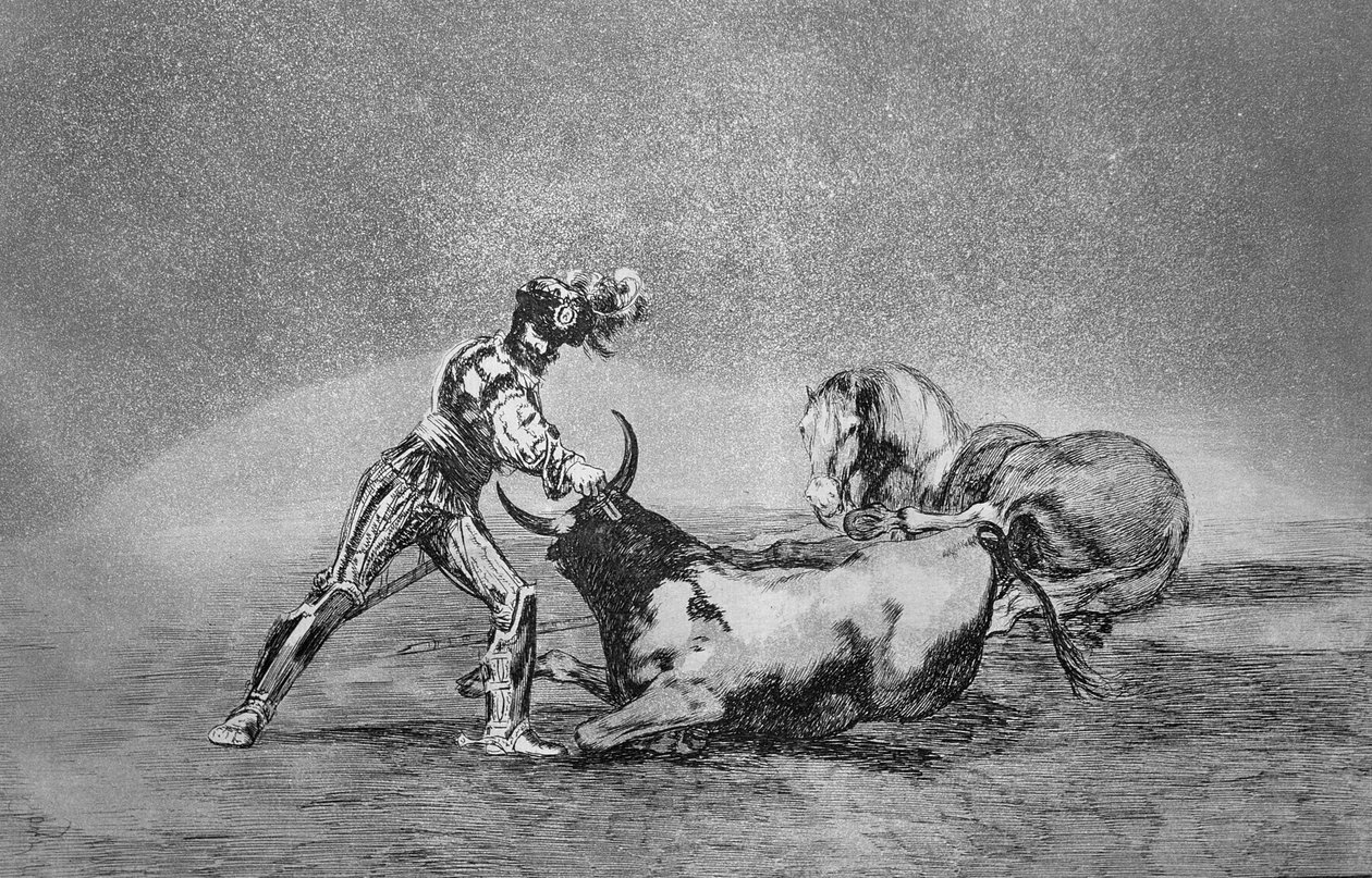 Un chevalier espagnol tue le taureau après avoir perdu son cheval, planche 9 de 