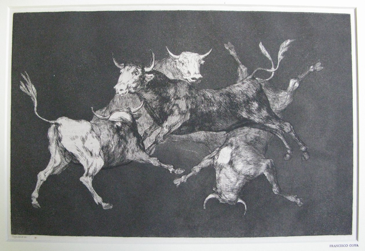 Disparate de tontos (Folie des fous) - Francisco Jose de Goya y Lucientes