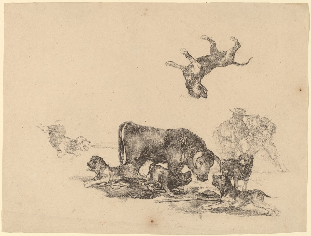 Taureau attaqué par des chiens - Francisco de Goya