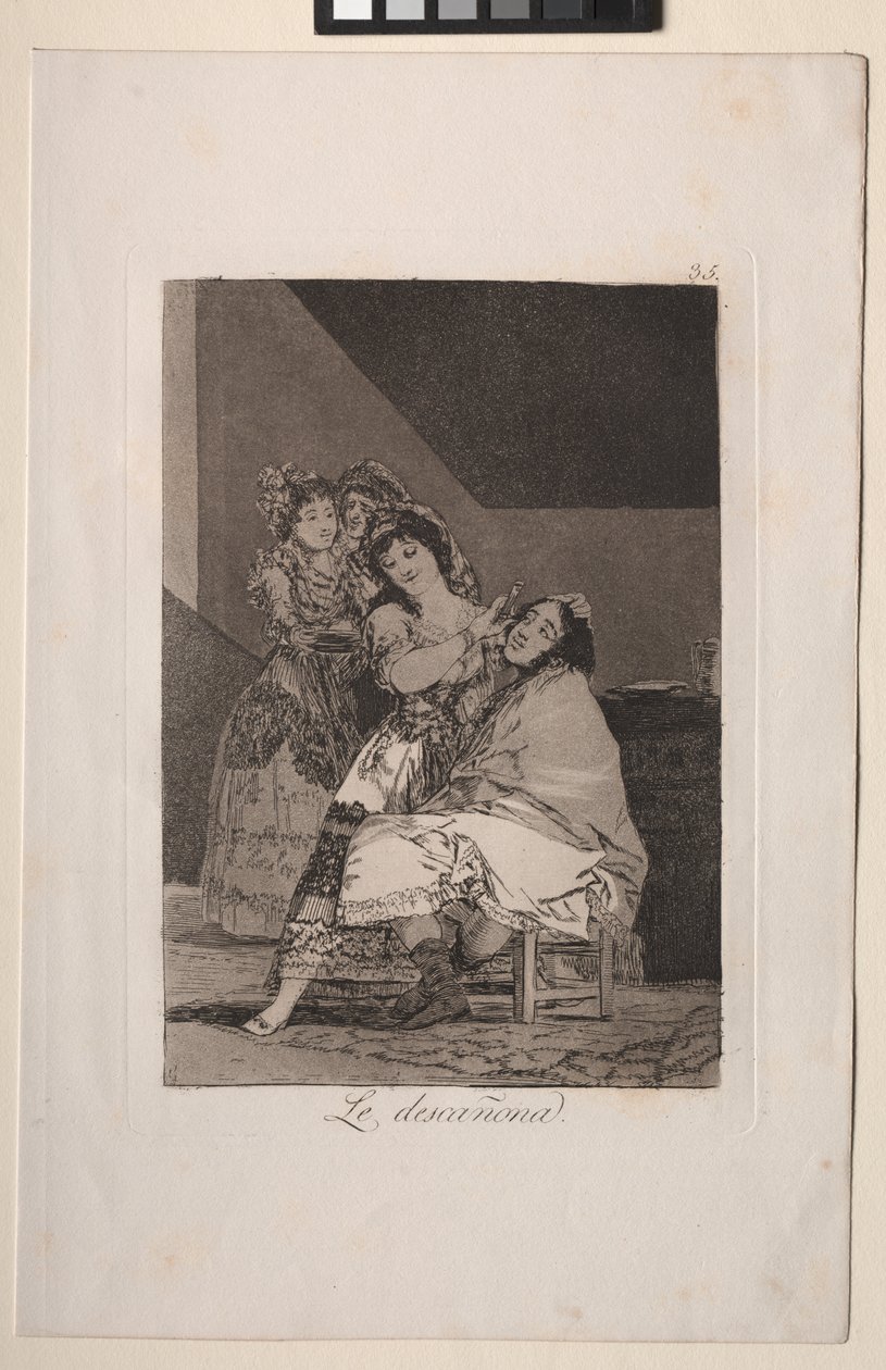 Caprichos: Elle le plume - Francisco de Goya