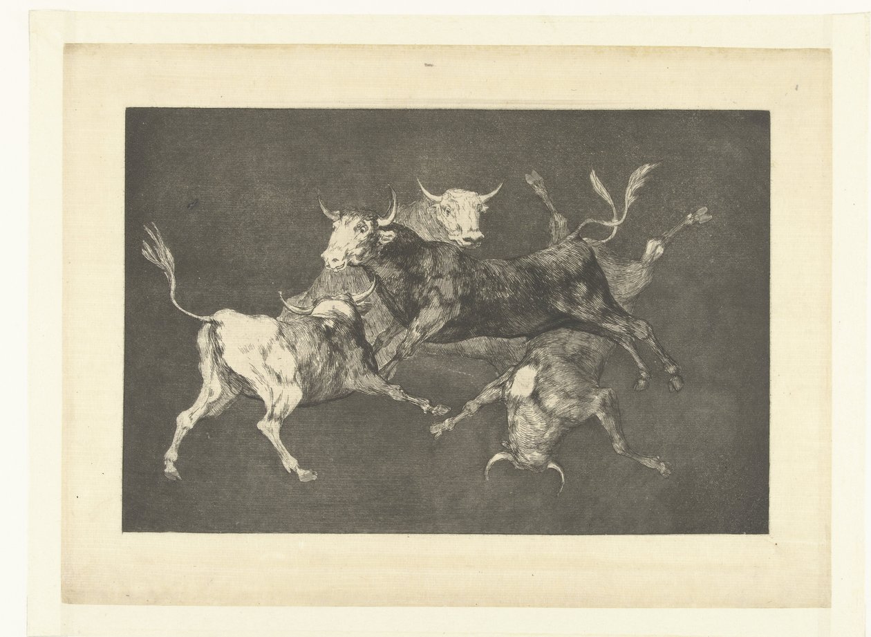 Folie des petits taureaux - Francisco de Goya