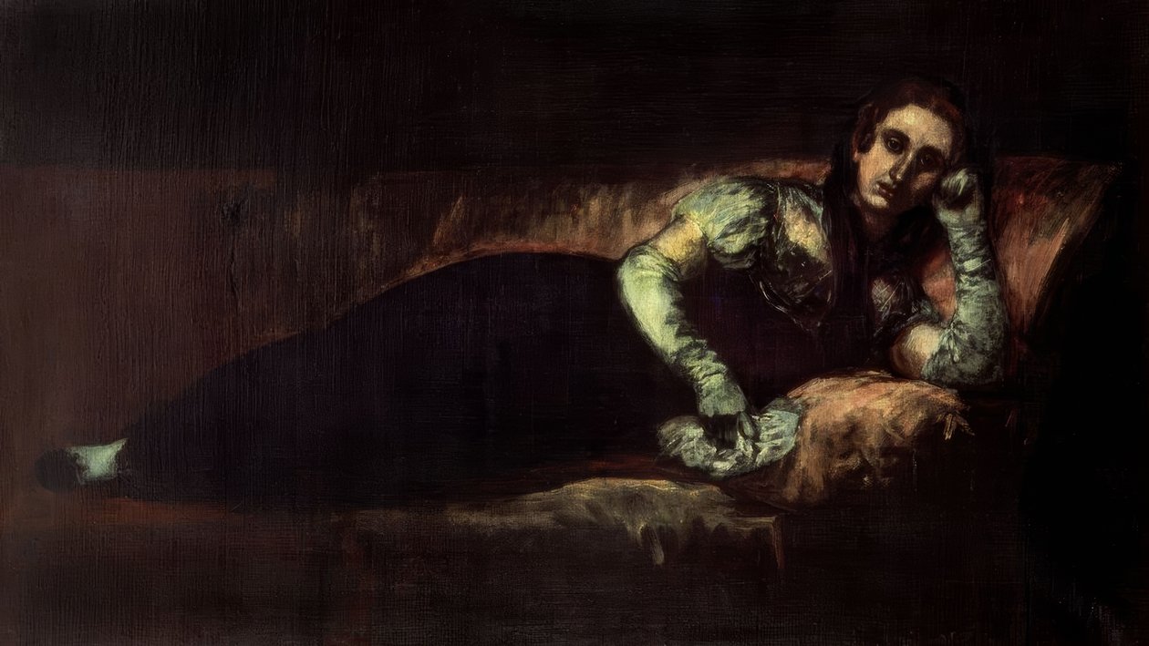 La Comtesse de Baena – 1819 - Francisco de Goya