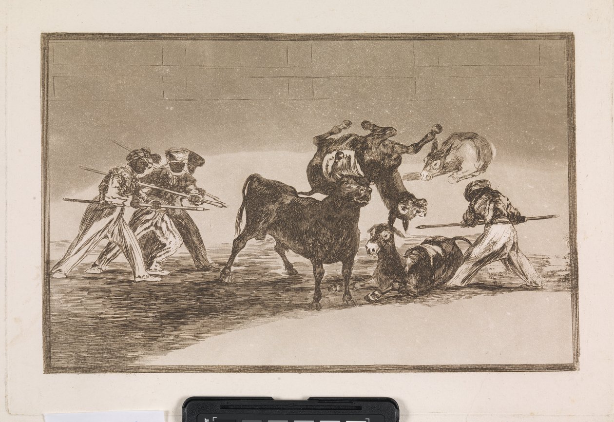 Les Maures utilisent des ânes comme barrière pour se défendre contre le taureau, dont les cornes ont été munies de boules - Francisco de Goya