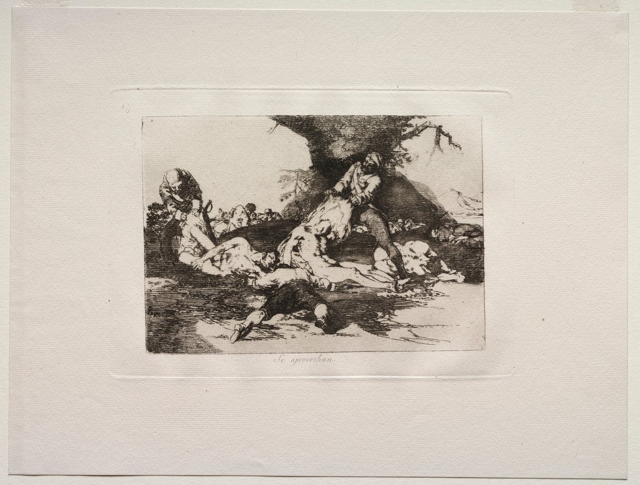 Les horreurs de la guerre : Ils les utilisent - Francisco de Goya