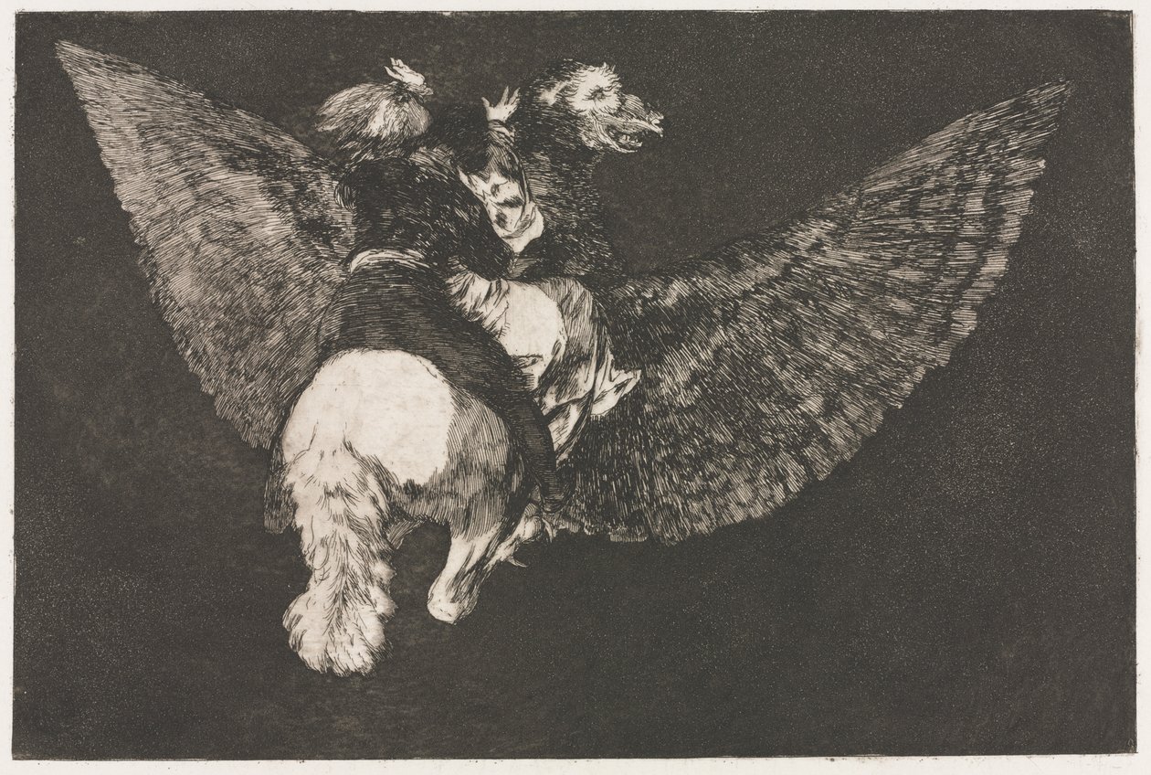 Les Proverbes : Folie volante - Francisco de Goya
