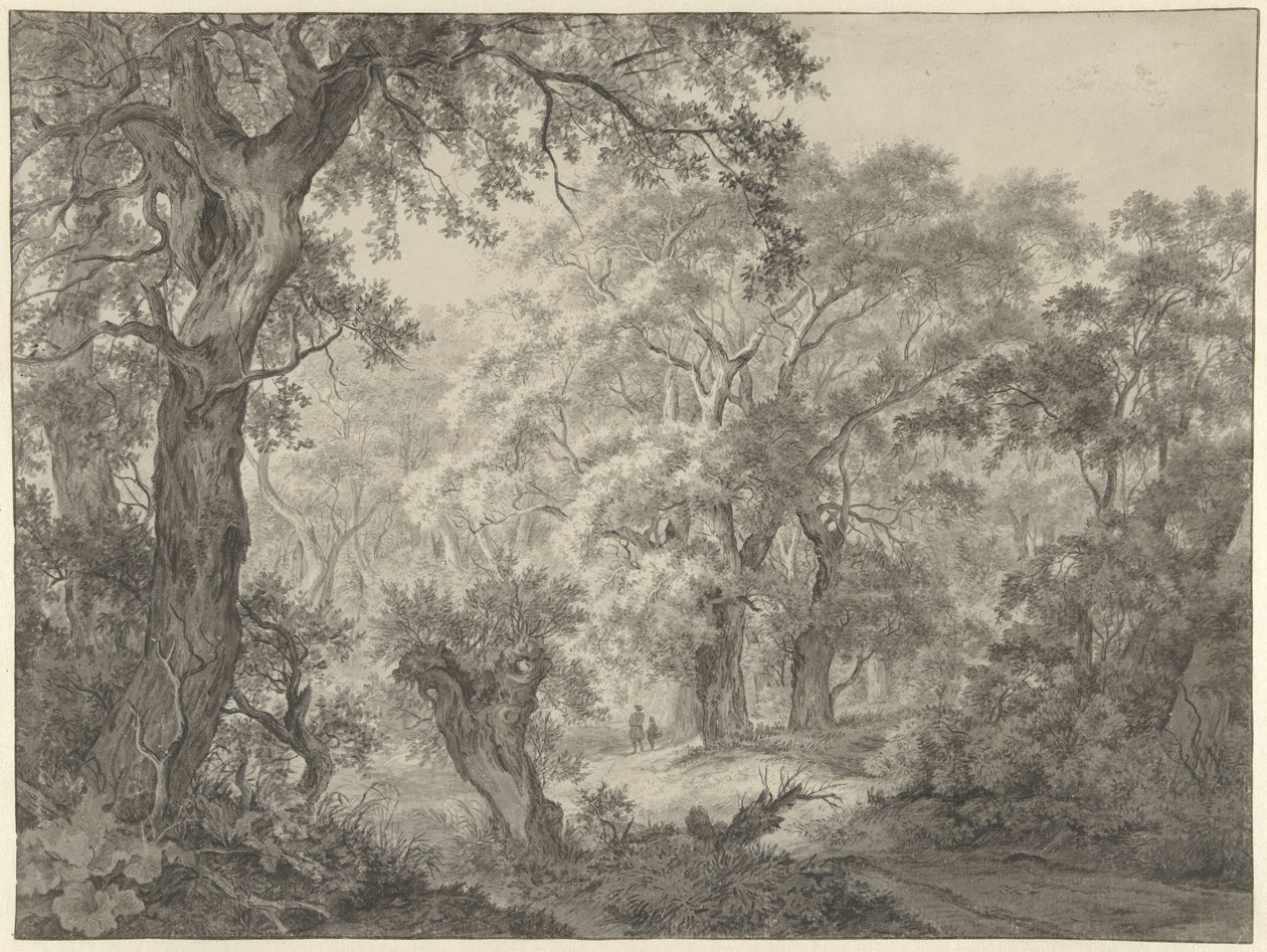 Paysage forestier - Franciscus Andreas Milatz