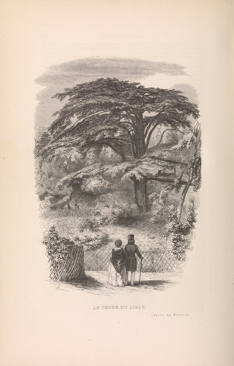 Le Jardin des Plantes, Descriptions et Moeurs des Mammifères, 1842 - Francois Boitard