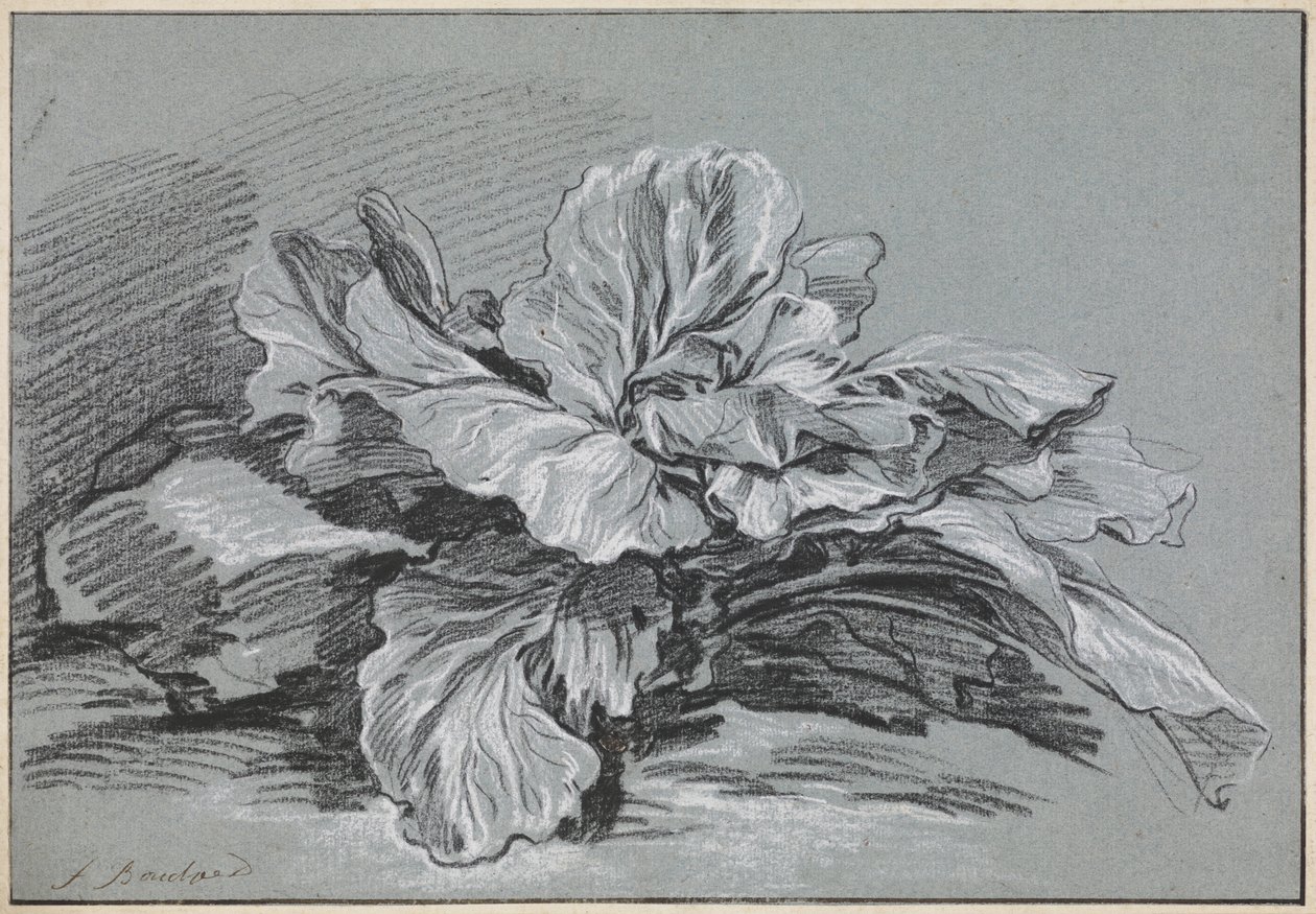 Étude d