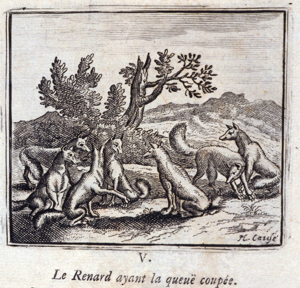 Illustration des 
