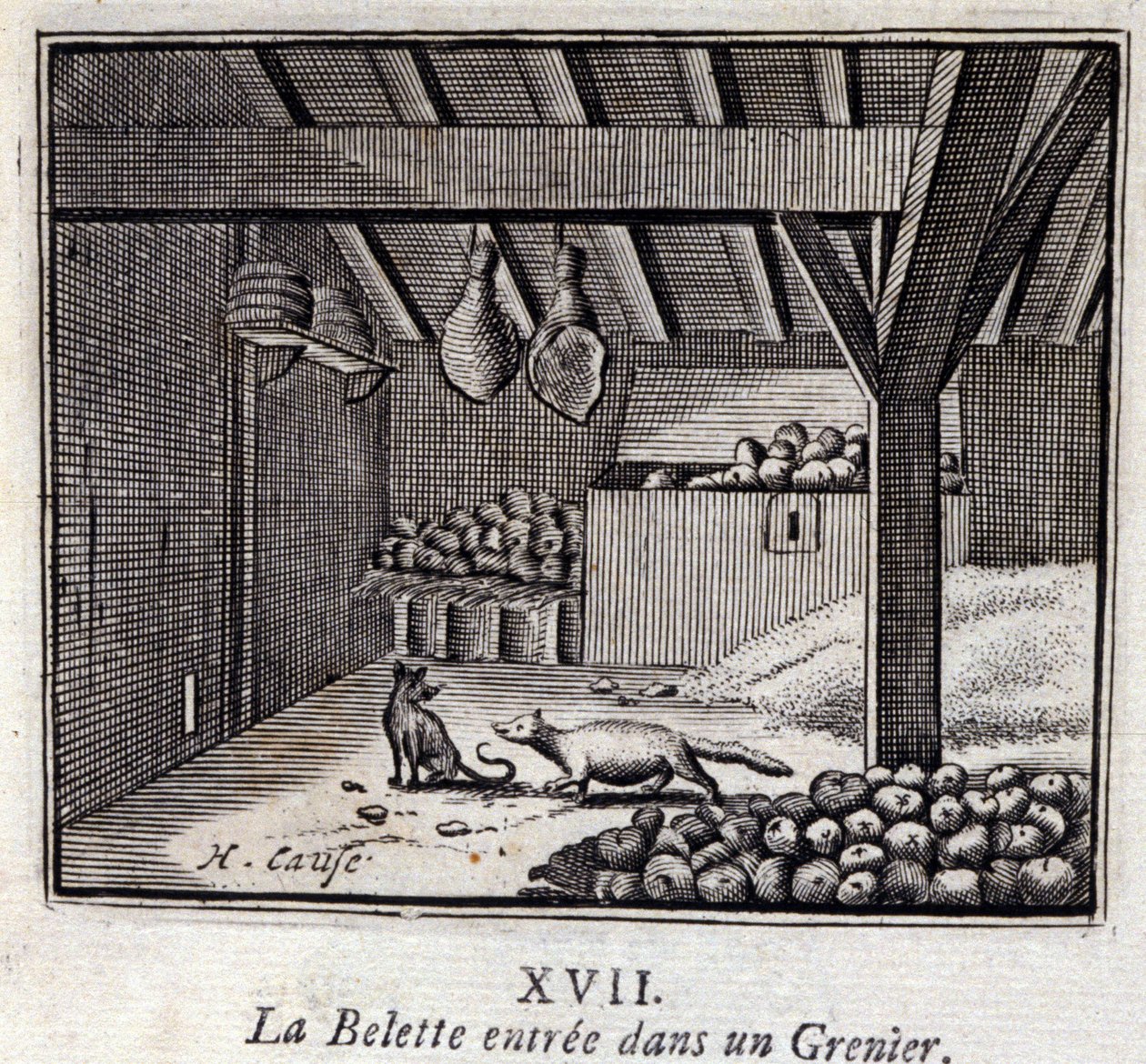 La belette entrée dans un grenier - Francois Chauveau