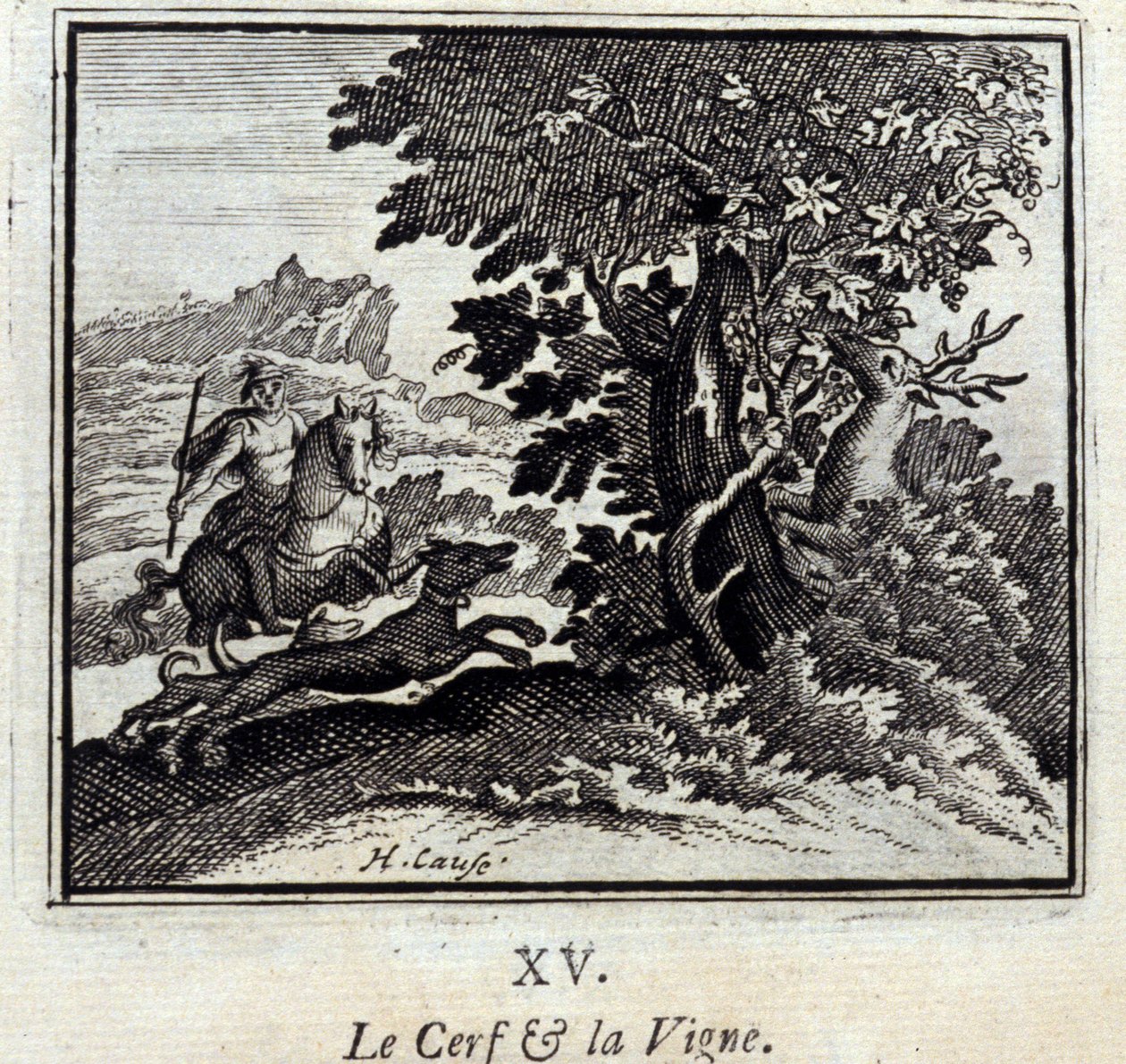 Le cerf et la vigne - Francois Chauveau