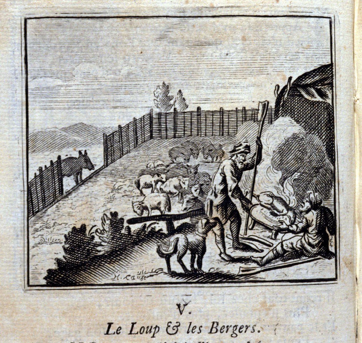 Le Loup et les Bergers - Francois Chauveau