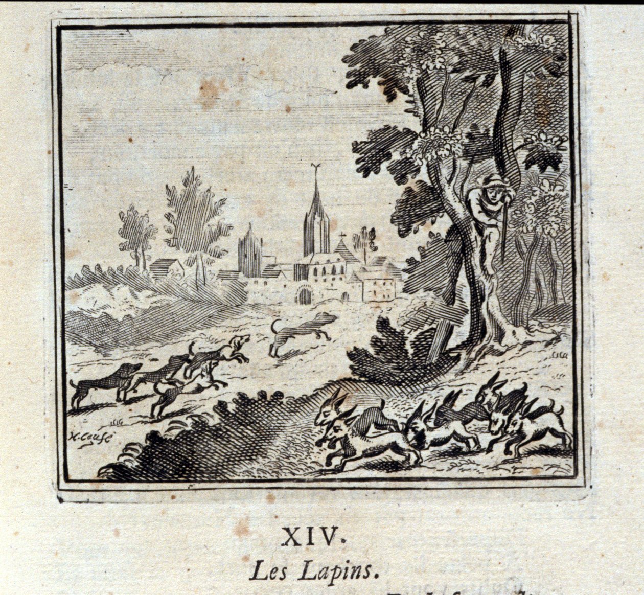 Les lapins - Francois Chauveau