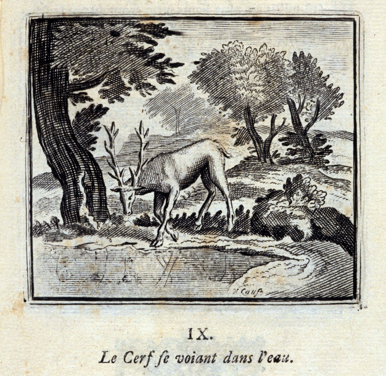 Le cerf se voyant dans l
