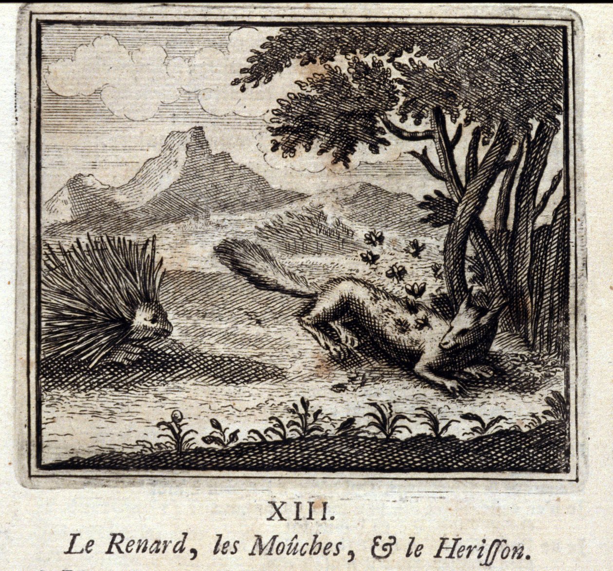 Le renard, les mouches et le hérisson. Fables de Jean de La Fontaine (1621-95). Illustration de François Chauveau (1613-1676). Édition de 1728. - Francois Chauveau