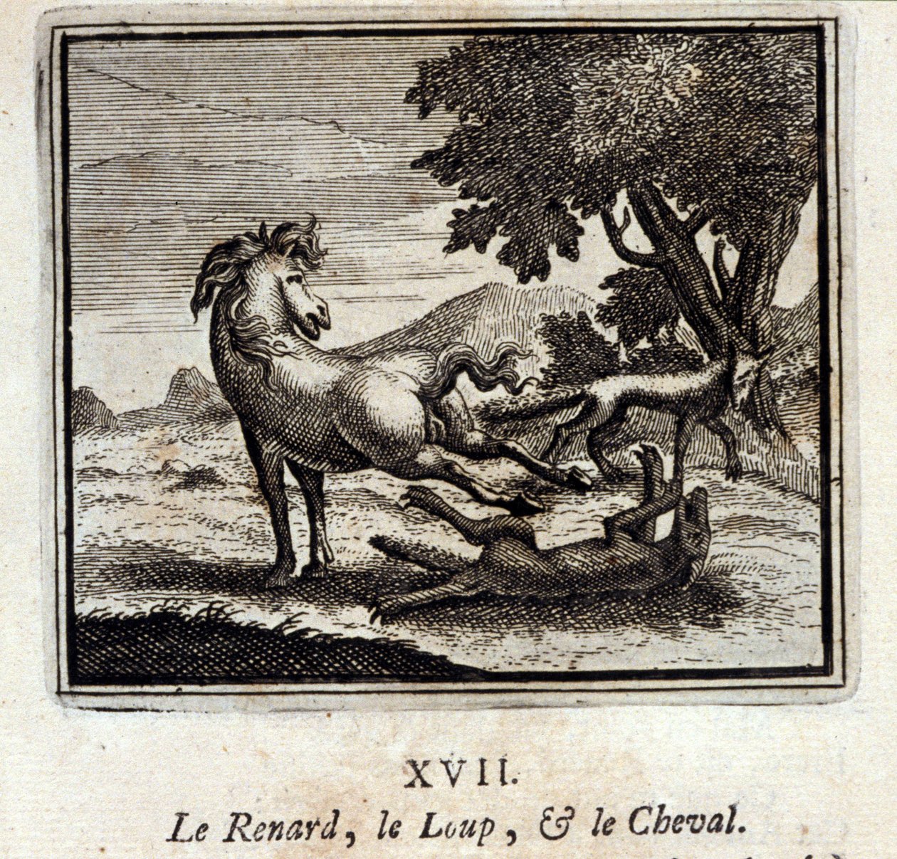 Le renard, le loup et le cheval - Francois Chauveau