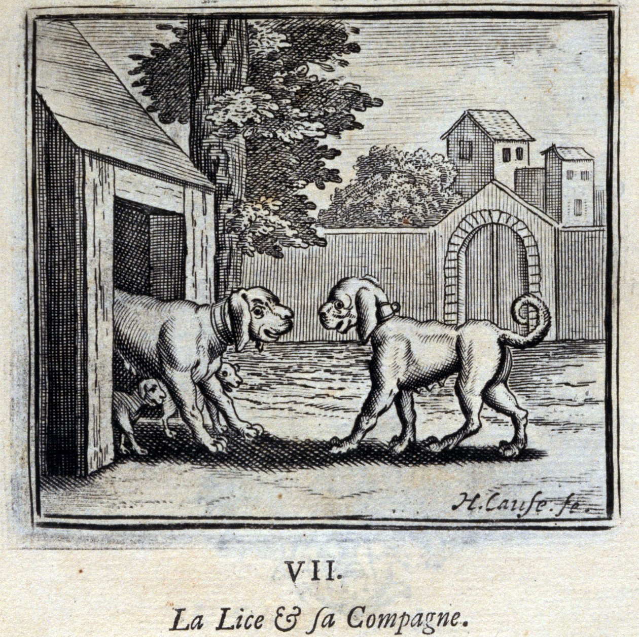 La Puce et sa Compagne - Francois Chauveau