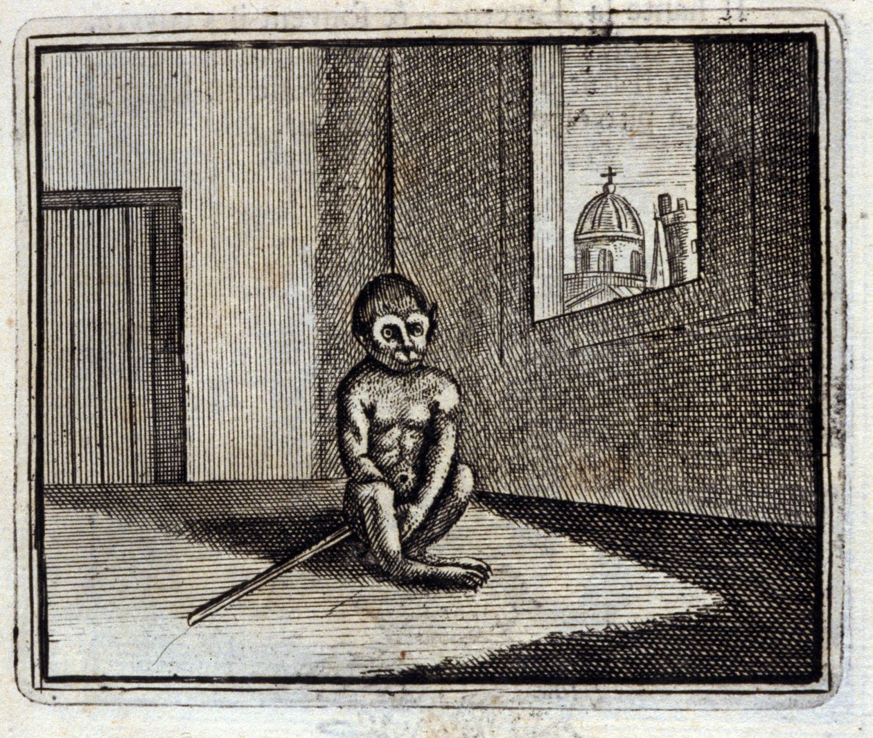 Le Singe - Francois Chauveau