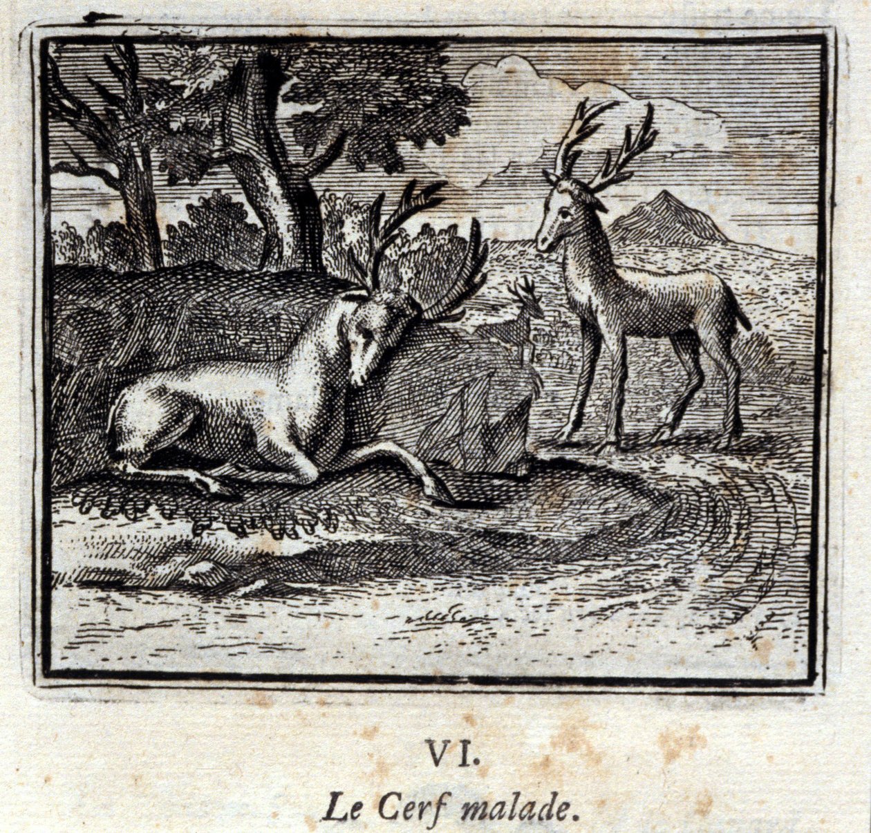 Le cerf malade - Francois Chauveau