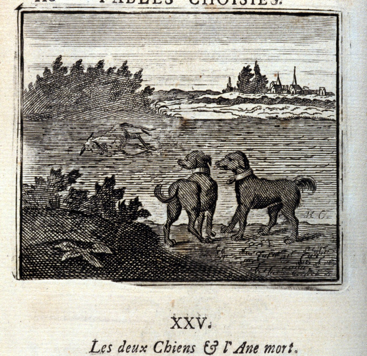 Les deux Chiens et l