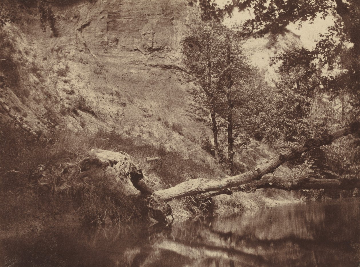 Rive, c. 1855 (photo) - Frank Chauvassaigne