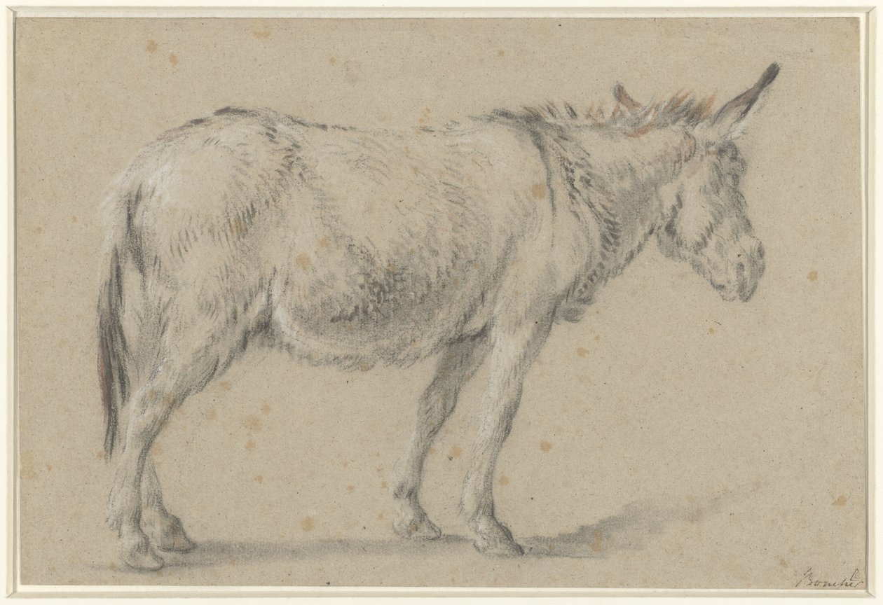 Âne debout, vers la droite - François Boucher (possibly)