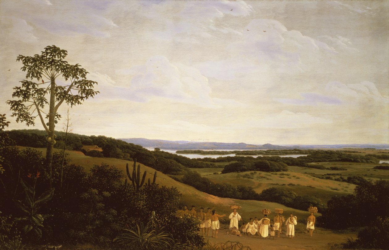 Vue panoramique au Brésil avec une rivière au loin - Frans Post