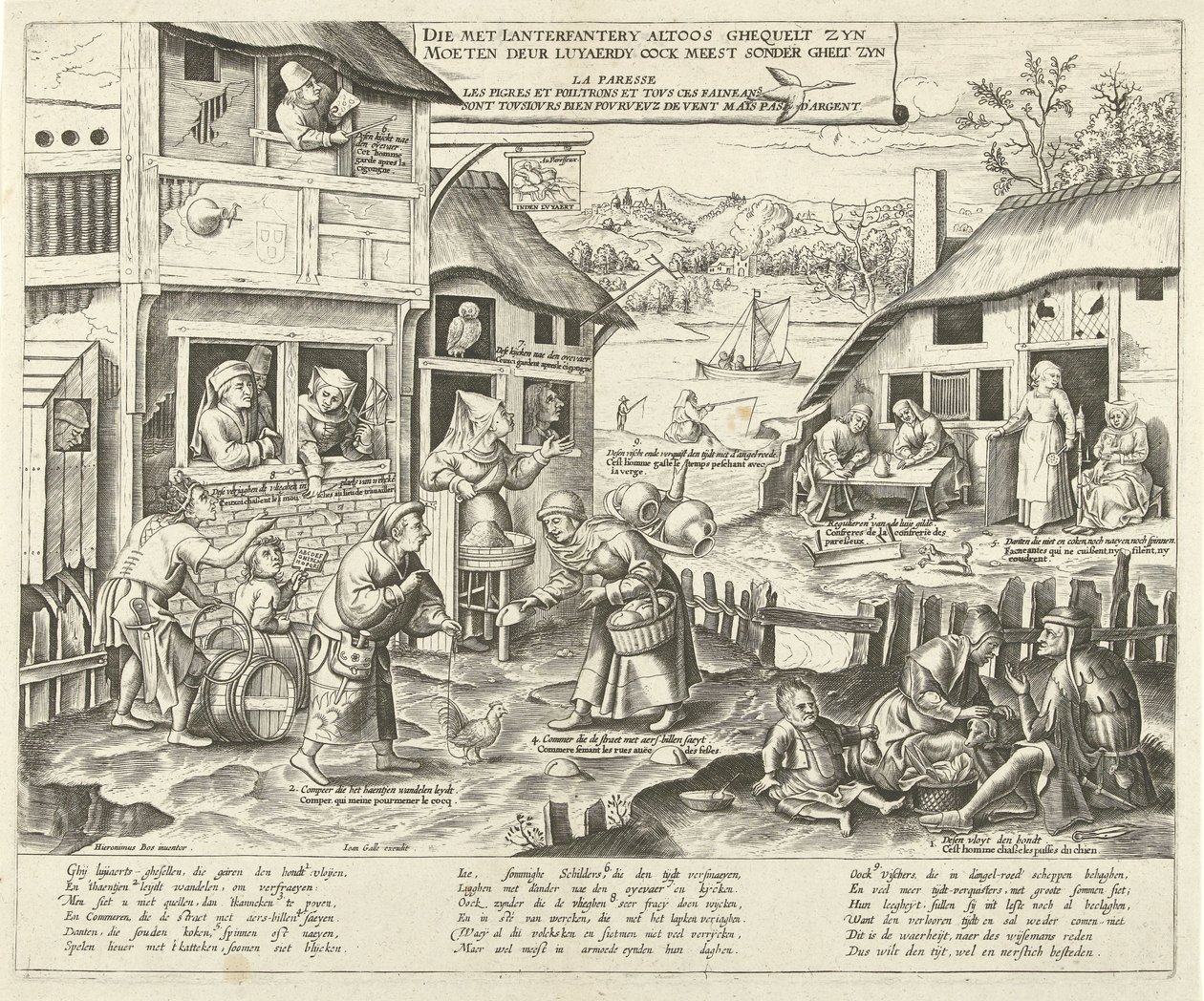 Paresseux - Frans Huys