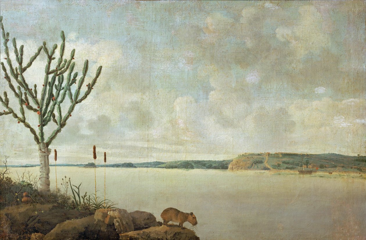 Le Rio Sao Francisco et le Fort Maurice, Brésil ... - Frans Jansz Post