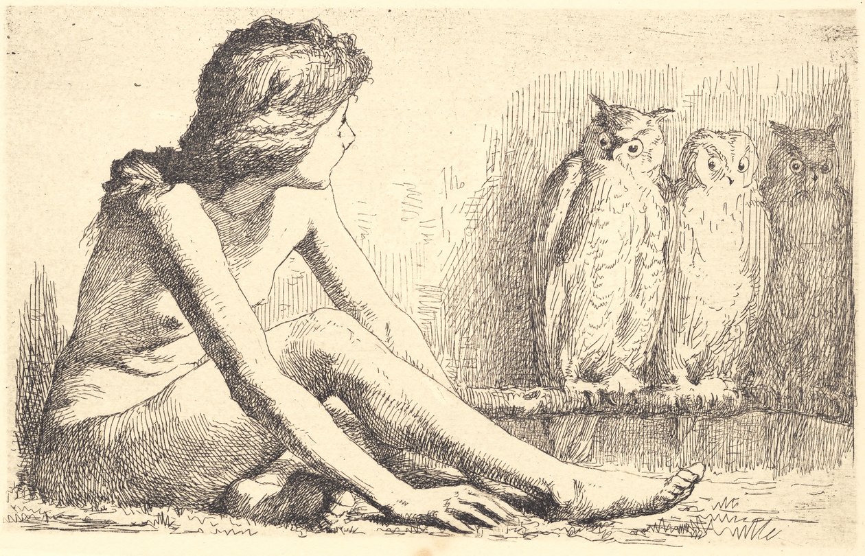 La Fille aux hiboux - Frans Schwartz