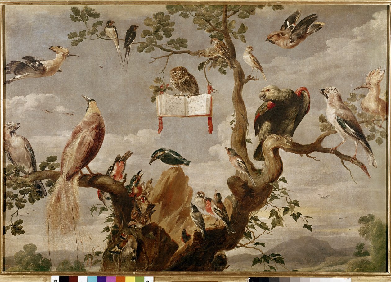 Le concert des oiseaux - Frans Snyders
