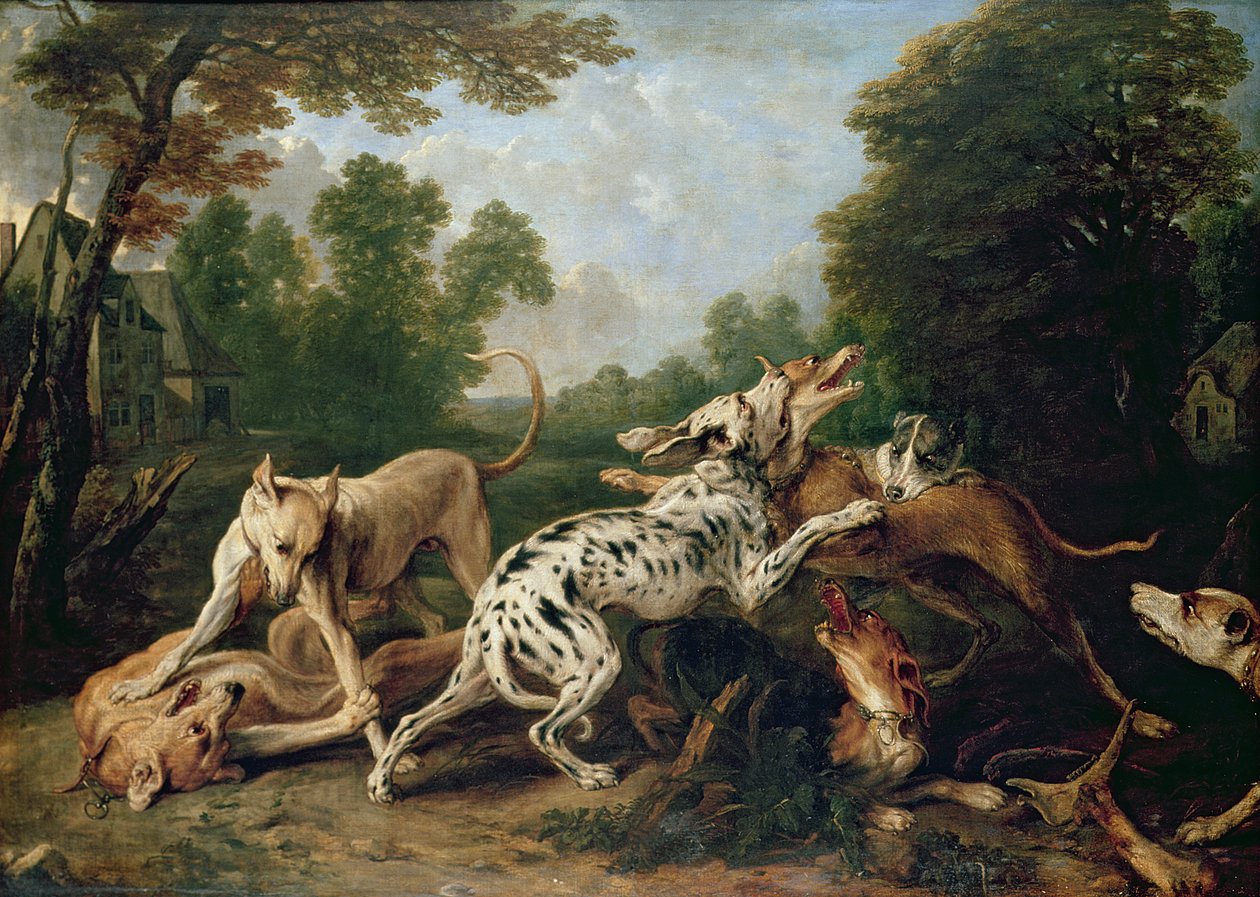 Chiens se battant dans une clairière boisée - Frans Snyders or Snijders