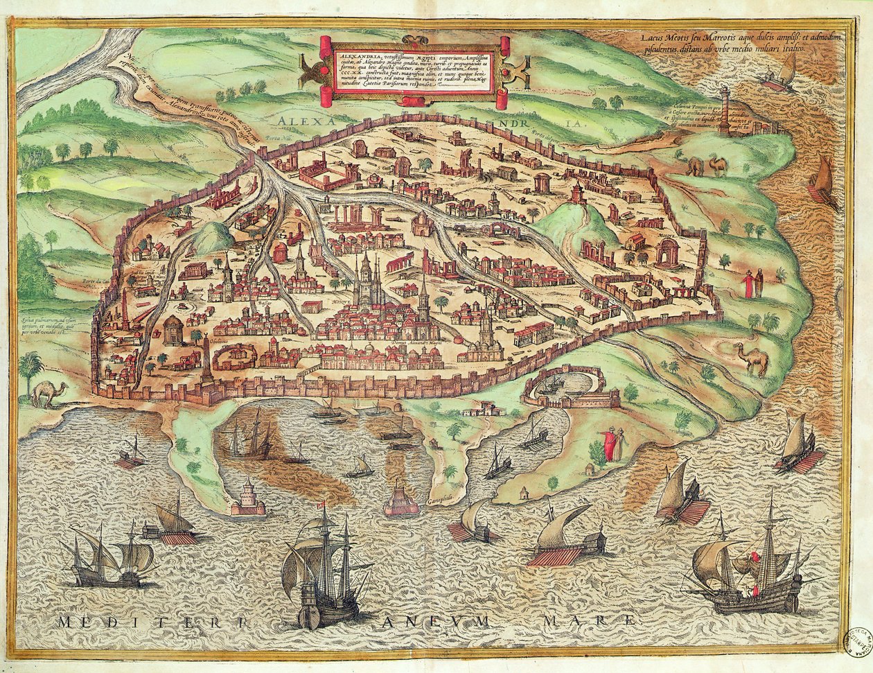 Carte d