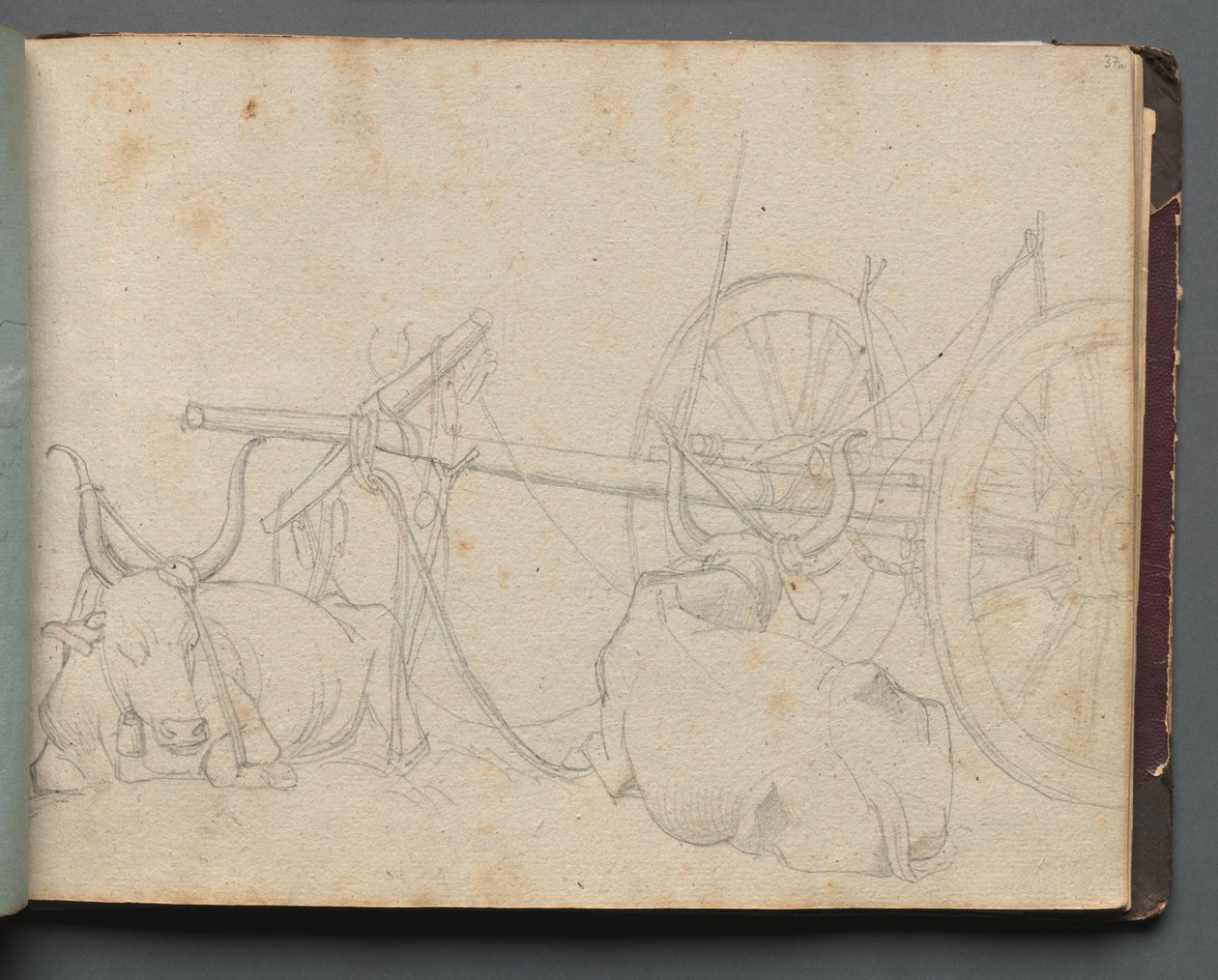 Album avec des vues de Rome et des environs, études de paysage, page 37a : Bœufs et chariot - Franz Johann Heinrich Nadorp