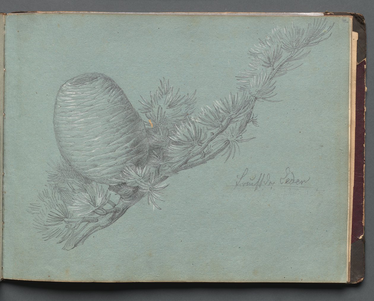 Album avec des vues de Rome et des environs, études de paysage, page 49a : Étude d