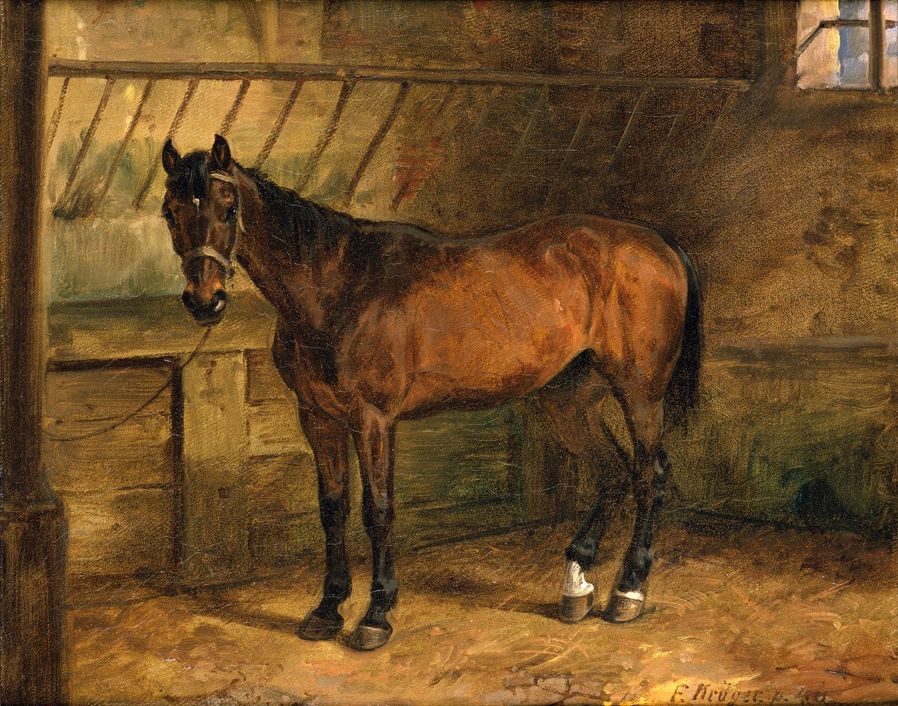 Cheval dans l
