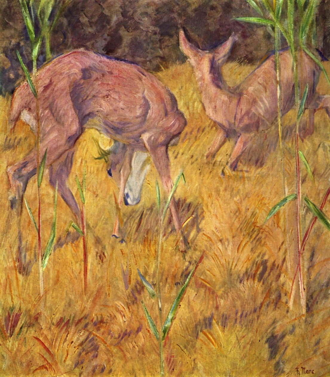 Un cerf dans les roseaux - Franz Marc