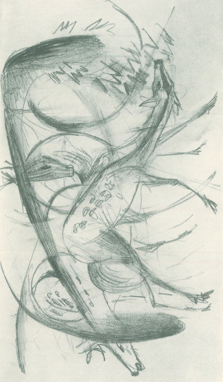 Franz Marc - Carnet de croquis pris sur le vif - Feuille 36 - Franz Marc